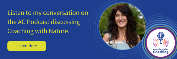 Diana Tedoldi interviewed by Rob Lawrence on Ecosomatic Coaching